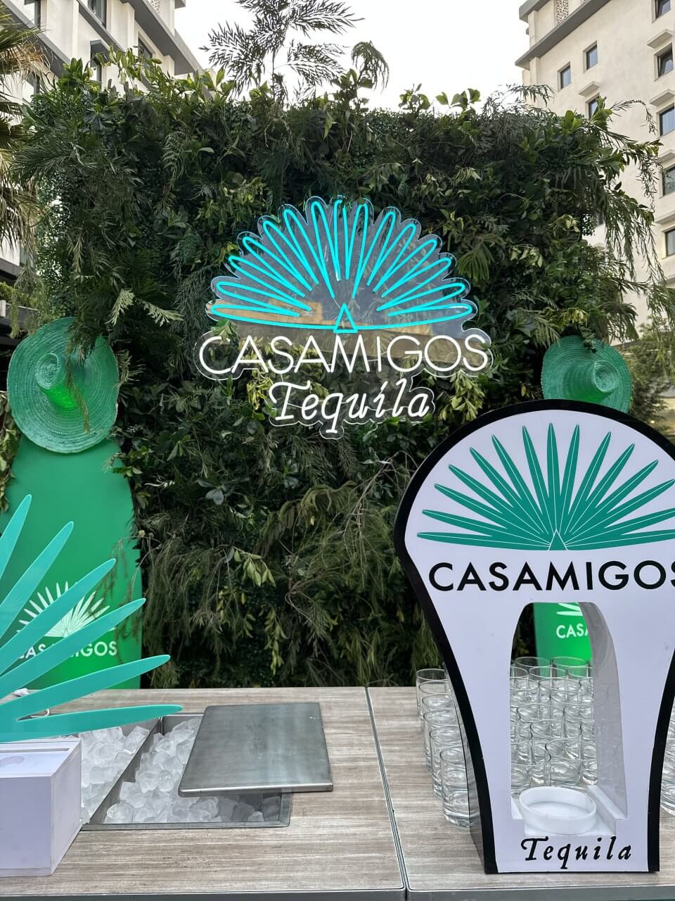 Casamingo Image